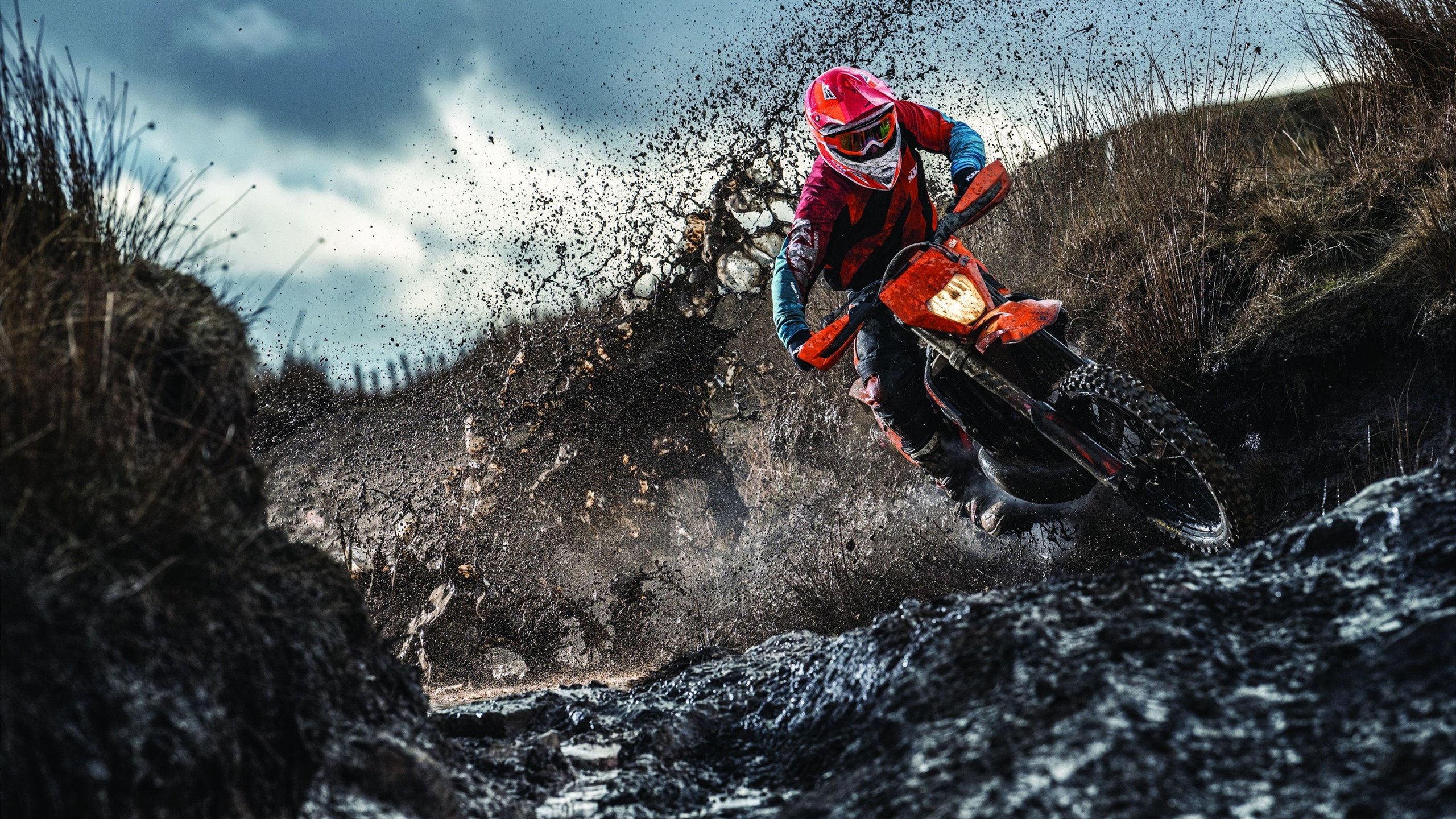 冰火对决，米切尔化身关键先生，辽宁硬仗力克北京