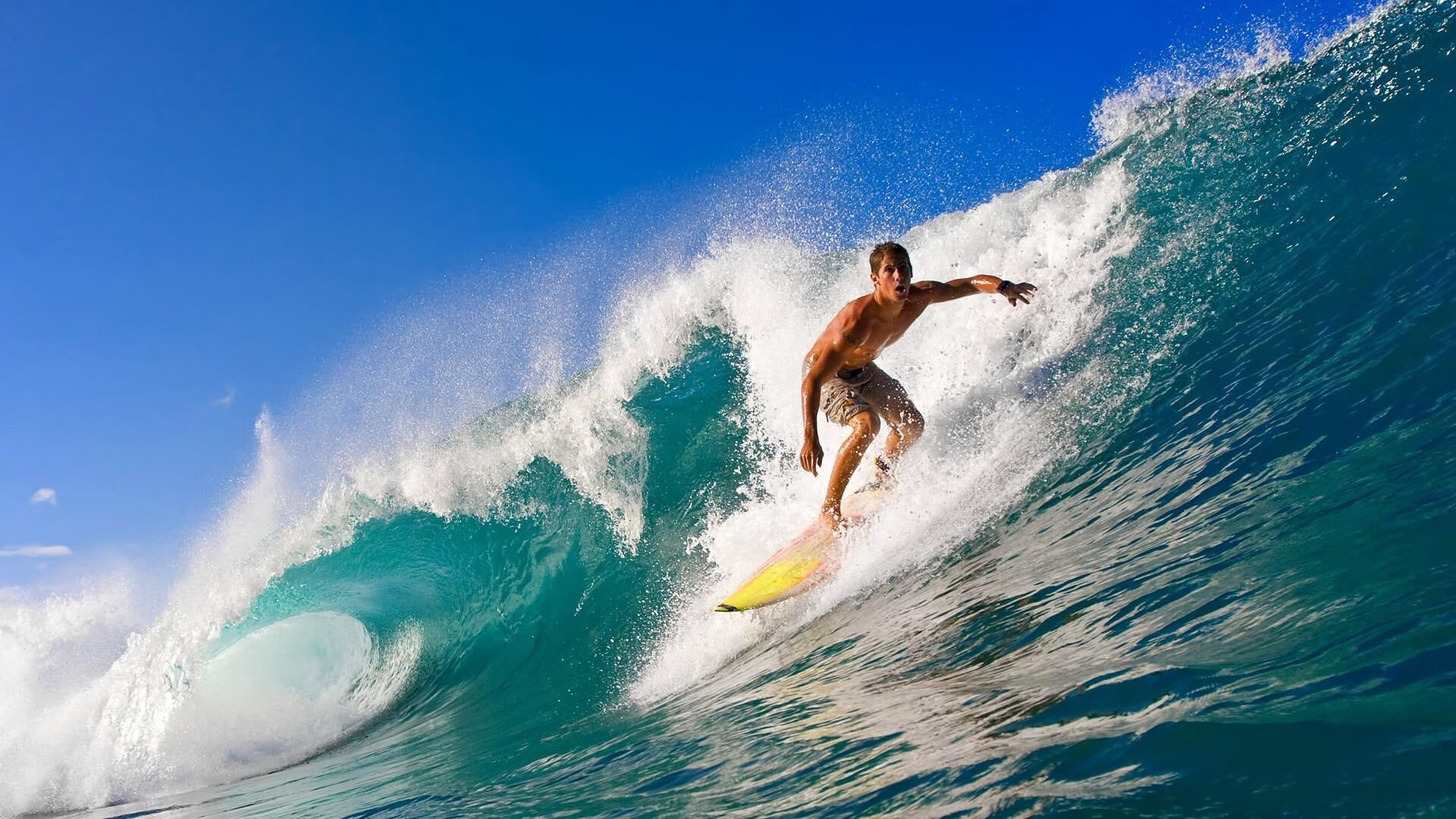 当国王对阵广东队，塔图姆如何用节奏掌控定义现代篮球美学